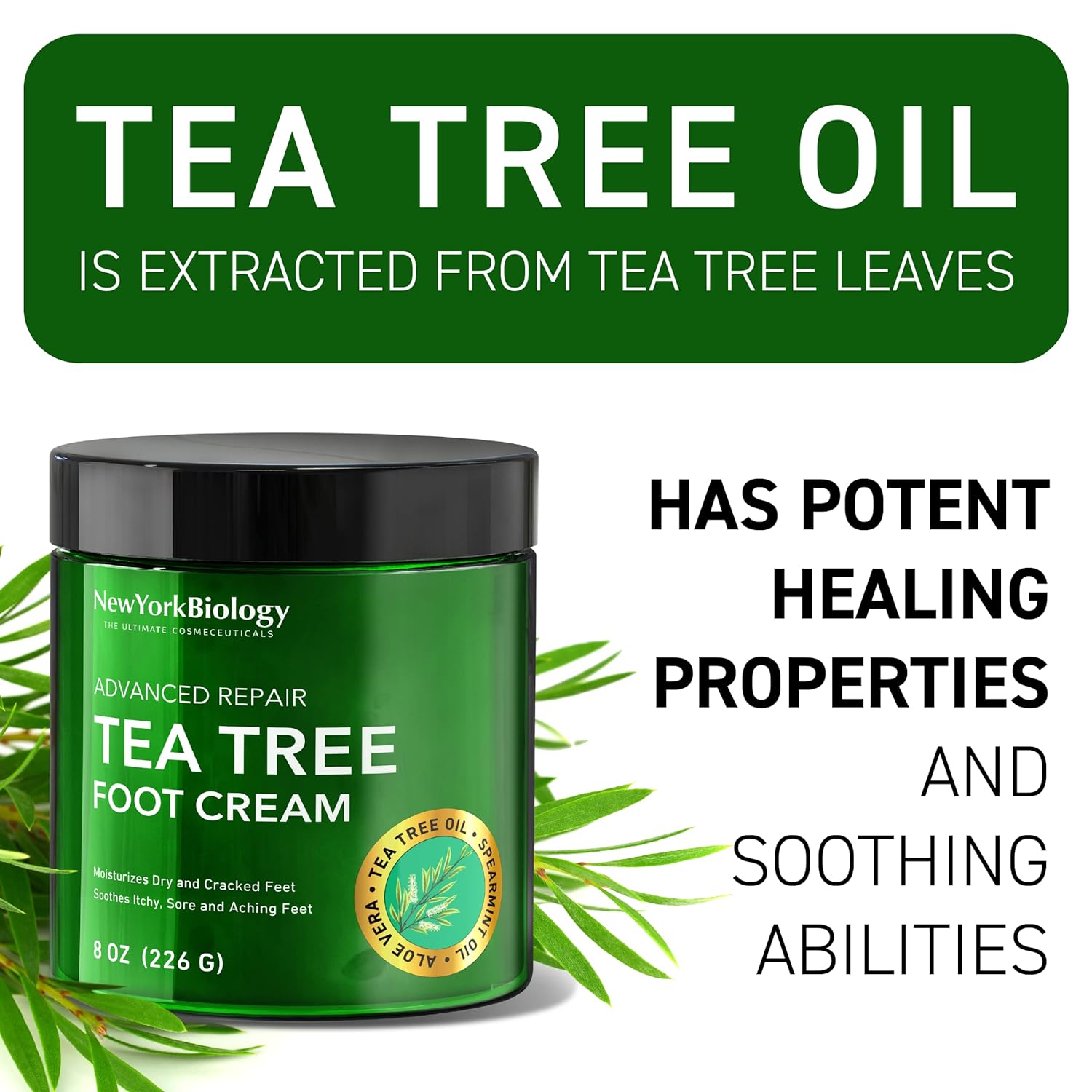 New York Biology Tea Tree Oil Foot Cream for Dry Cracked Feet, Athletes Foot, Nail Fungus, Jock Itch, Ringworm, Cracked Heels and Itchy Skin - Foot Cream - 8 oz Tea Tree - 8.00 Ounce (Pack of 1) 8.00 Ounce (Pack of 1)