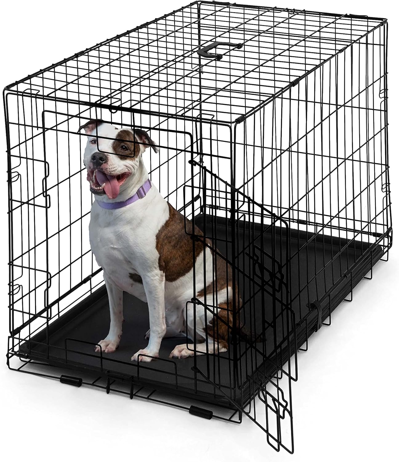 CAPHAUS Foldable Dog Crate Wire Metal Dog Kennel w/Leak-Proof Pan & Protecting Feet & Divider Panel, Single or Double Door, Small, Medium & Large Dog Crate Indoor Cage, 30” w/Single Door Black 30