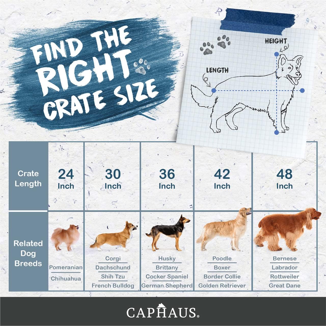 CAPHAUS Foldable Dog Crate Wire Metal Dog Kennel w/Leak-Proof Pan & Protecting Feet & Divider Panel, Single or Double Door, Small, Medium & Large Dog Crate Indoor Cage, 30” w/Single Door Black 30