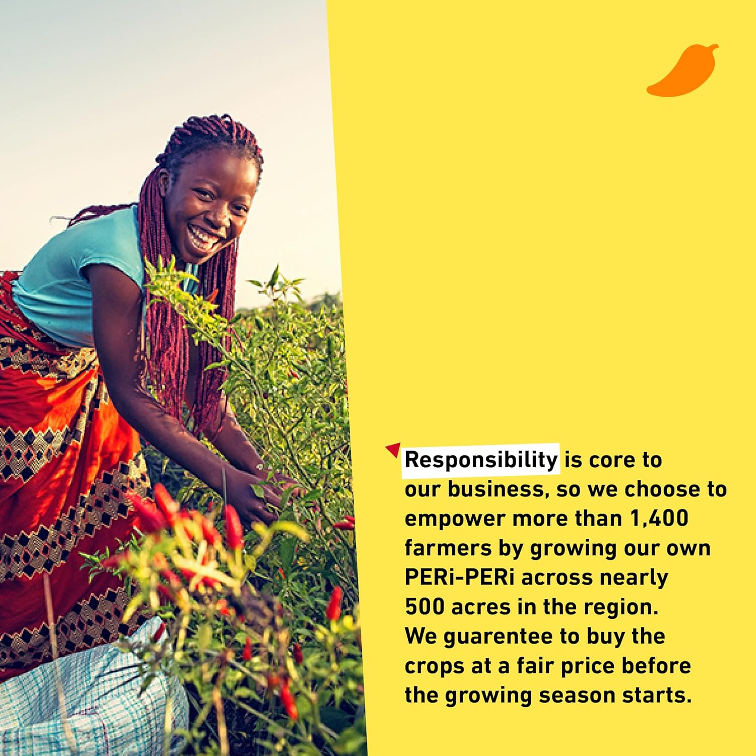 Nando's PERi-PERi Hot Sauce Variety Gift Pack - Medium, Hot, Garlic, Lemon & Herb Piri Piri Sauces | Flavorful Hot Sauce Gift Set Box | Great as Wing Sauces! Gluten Free - 9.1 oz (4 Pack) Flavorful Pack