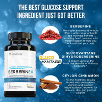 Berberine with Ceylon Cinnamon Supplements | Berberine Supplement High Absorption Dihydroberberine Berberine Weight Loss for Balance and Support | Vegan Powerful AMPk Metabolic Activator | 30 Servings