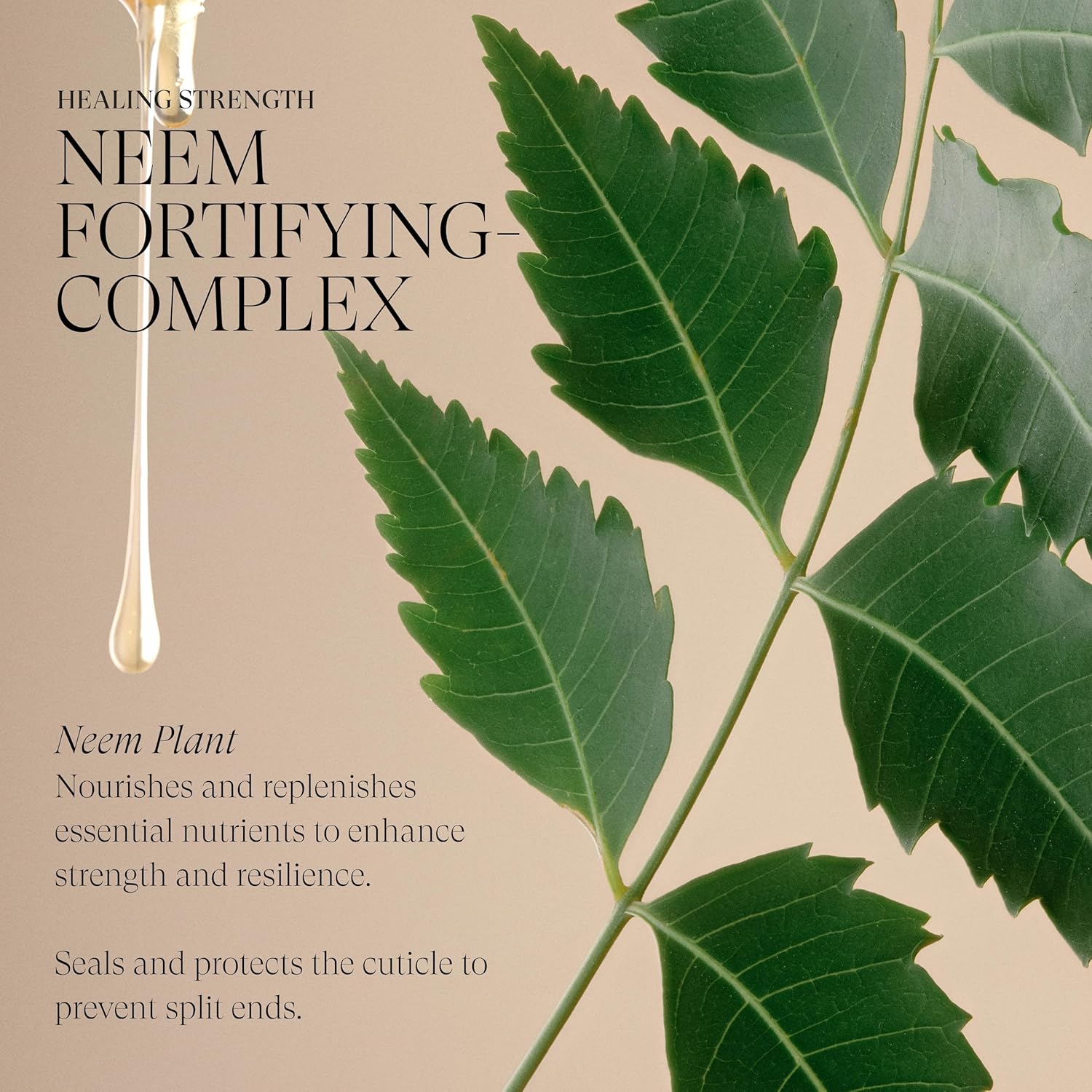 L'ANZA Healing Strength Silk Serum Strengthening Hair Treatment, Repairs Damage, UV & Heat Protection, Smooths Split Ends, Adds Glossy Shine, Anti Humidity & Frizz, Color Safe Sulfate Free (3.4 Fl Oz) 3.4 Fl Oz (Pack of 1)