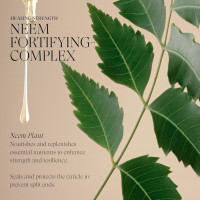 L'ANZA Healing Strength Silk Serum Strengthening Hair Treatment, Repairs Damage, UV & Heat Protection, Smooths Split Ends, Adds Glossy Shine, Anti Humidity & Frizz, Color Safe Sulfate Free (3.4 Fl Oz) 3.4 Fl Oz (Pack of 1)