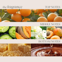 L'ANZA Healing Strength Silk Serum Strengthening Hair Treatment, Repairs Damage, UV & Heat Protection, Smooths Split Ends, Adds Glossy Shine, Anti Humidity & Frizz, Color Safe Sulfate Free (3.4 Fl Oz) 3.4 Fl Oz (Pack of 1)