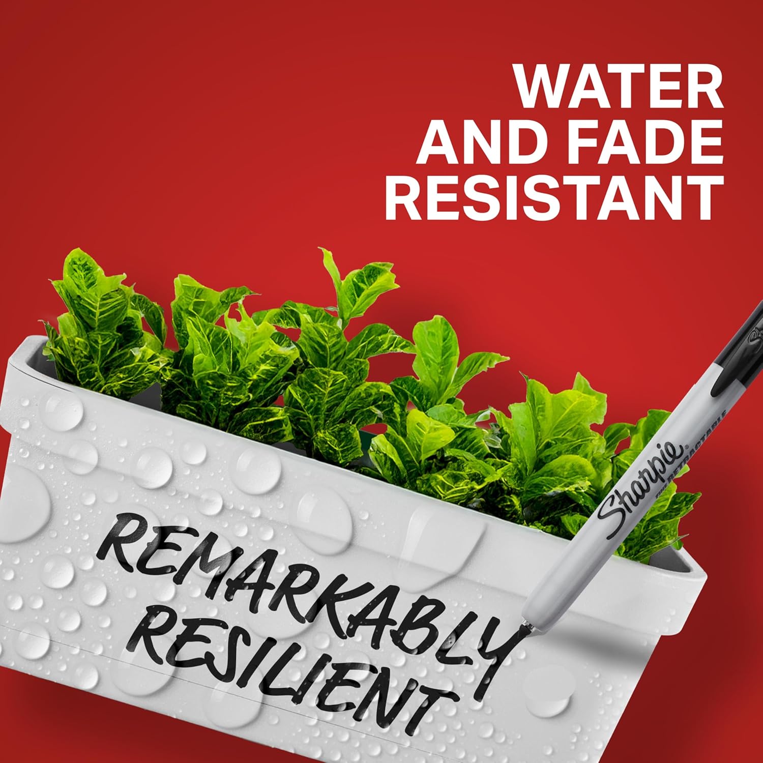 Sharpie Retractable Permanent Markers, Fine Tip, Black, 12 Count - Desk, Classroom, Office Supplies 12 Count Black