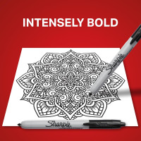 Sharpie Retractable Permanent Markers, Fine Tip, Black, 12 Count - Desk, Classroom, Office Supplies 12 Count Black