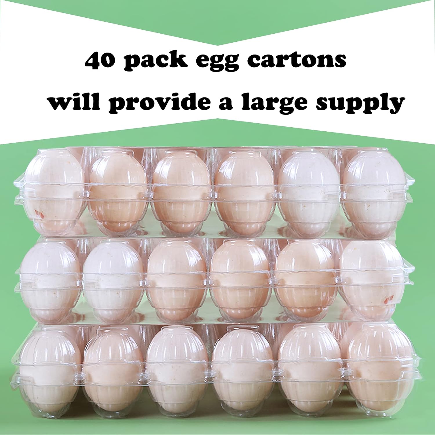 40 Pack Clear Plastic Egg Cartons Bulk Holds Up to 12 Eggs - 1 Dozen, Reusable Egg Carton for Family Pasture Chicken Farm, Refrigerator Storage