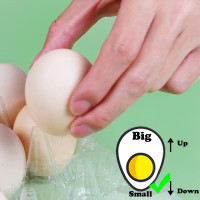 40 Pack Clear Plastic Egg Cartons Bulk Holds Up to 12 Eggs - 1 Dozen, Reusable Egg Carton for Family Pasture Chicken Farm, Refrigerator Storage