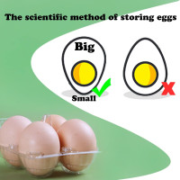 40 Pack Clear Plastic Egg Cartons Bulk Holds Up to 12 Eggs - 1 Dozen, Reusable Egg Carton for Family Pasture Chicken Farm, Refrigerator Storage