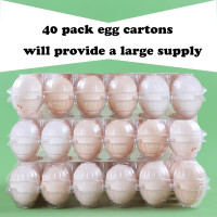 40 Pack Clear Plastic Egg Cartons Bulk Holds Up to 12 Eggs - 1 Dozen, Reusable Egg Carton for Family Pasture Chicken Farm, Refrigerator Storage White 2*6