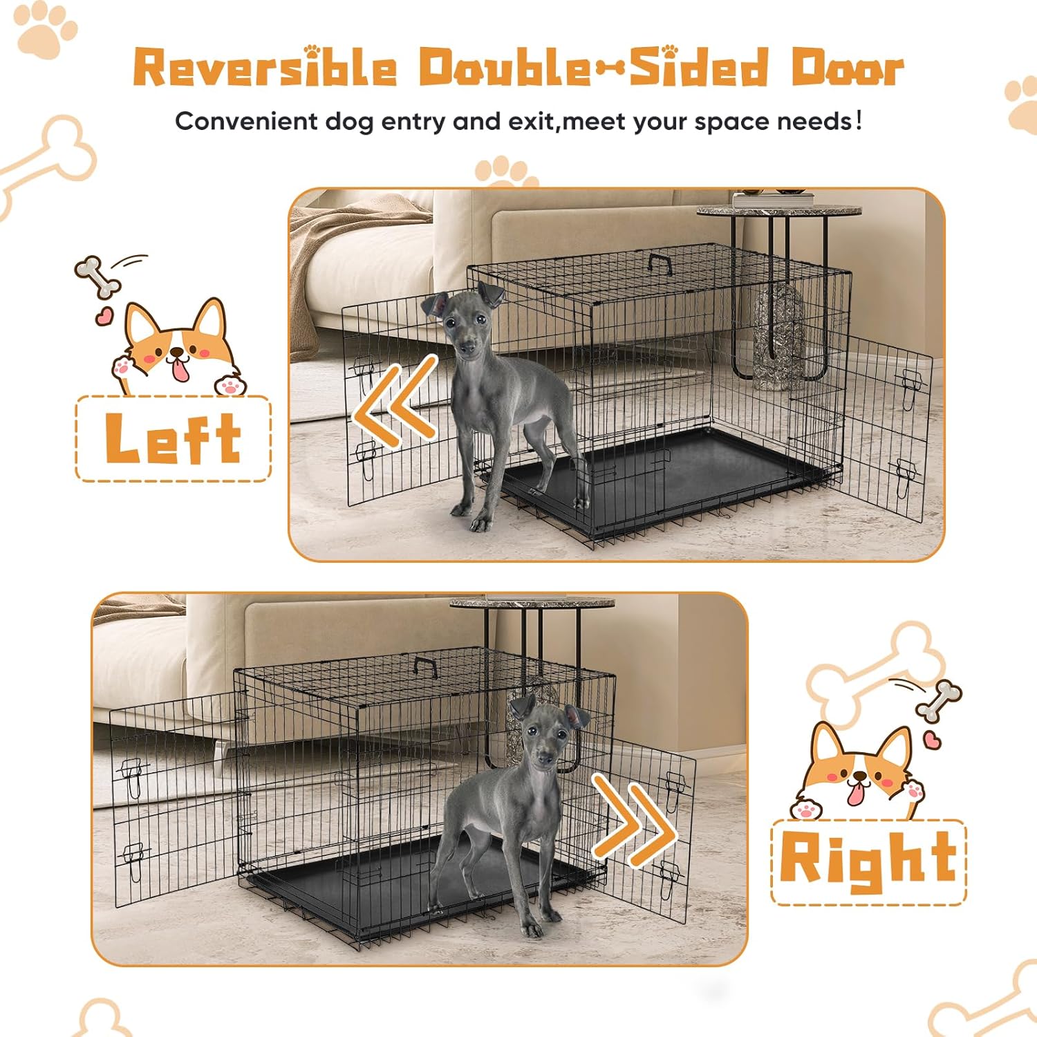 DUMOS Dog Crate, 36 Inch Medium Double Door Dog Cage with Divider Panel and Plastic Leak-Proof Pan Tray, Folding Metal Wire Pet Kennel for Indoor, Outdoor, Travel 36.61