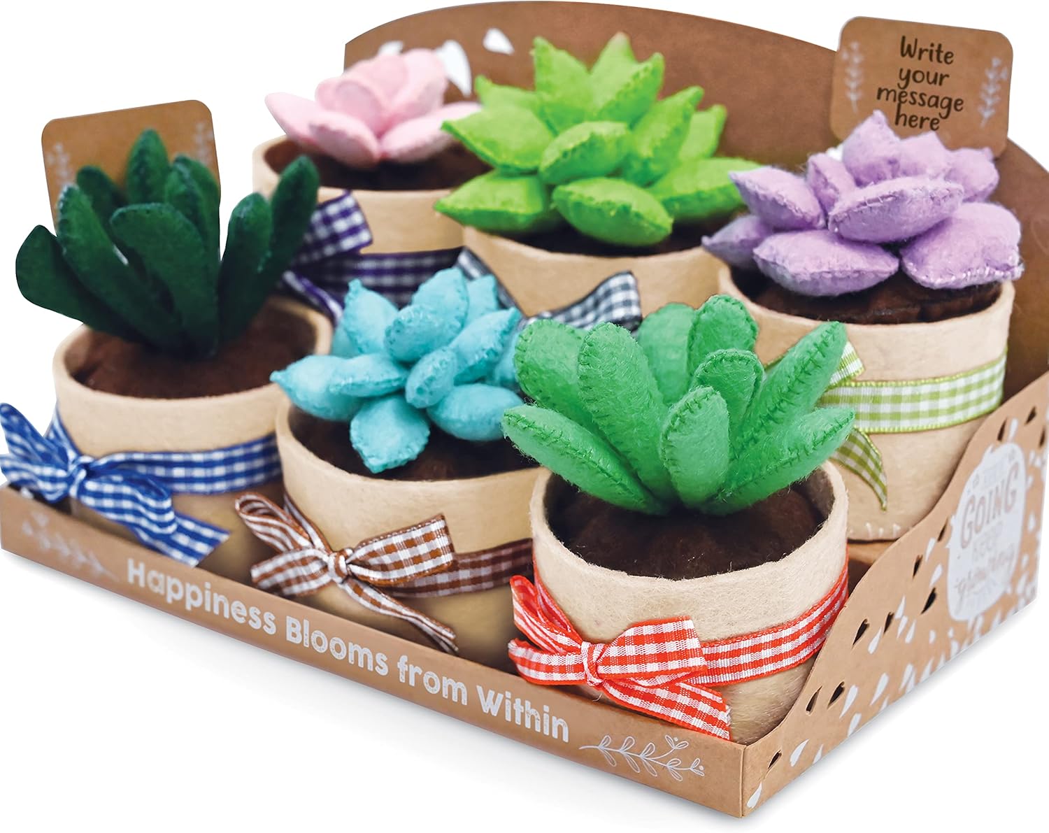 Felt Succulents Craft Kit. Make 6 Potted Colorful Plushies & A Display Rack. Mini Garden DIY Sewing Project, Activity Set, Arts & Crafts Supplies - Great Gift for Teens and Adults Succulent Sewing Craft Kit