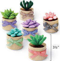 Felt Succulents Craft Kit. Make 6 Potted Colorful Plushies & A Display Rack. Mini Garden DIY Sewing Project, Activity Set, Arts & Crafts Supplies - Great Gift for Teens and Adults Succulent Sewing Craft Kit