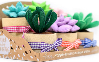 Felt Succulents Craft Kit. Make 6 Potted Colorful Plushies & A Display Rack. Mini Garden DIY Sewing Project, Activity Set, Arts & Crafts Supplies - Great Gift for Teens and Adults Succulent Sewing Craft Kit