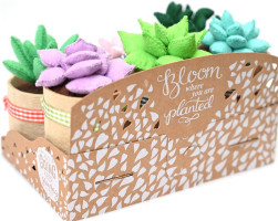 Felt Succulents Craft Kit. Make 6 Potted Colorful Plushies & A Display Rack. Mini Garden DIY Sewing Project, Activity Set, Arts & Crafts Supplies - Great Gift for Teens and Adults Succulent Sewing Craft Kit
