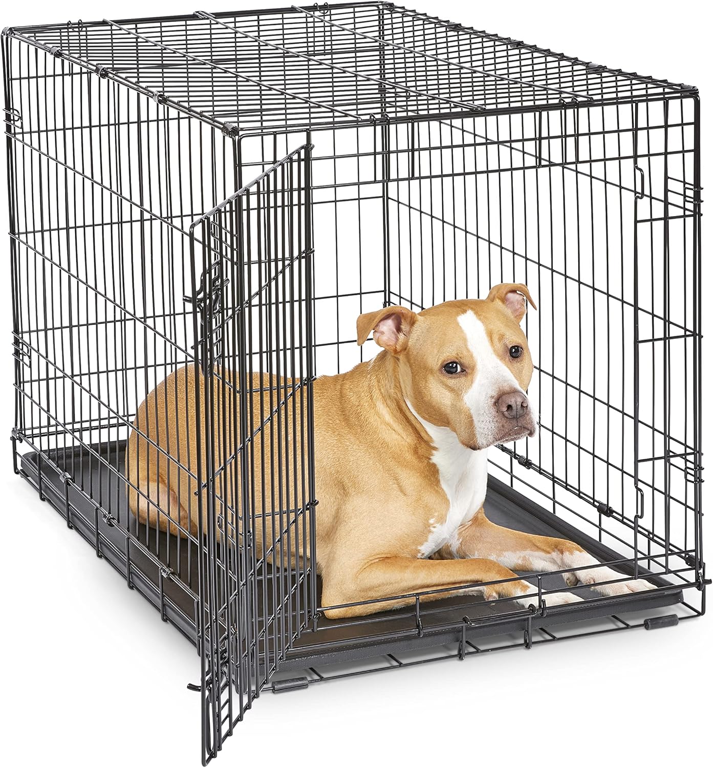 New World Single Door Folding Metal 36-Inch Dog Crate, Enhanced Security, Includes Leak-Proof Pan & Divider Panel, For Medium to Large Sized Breeds