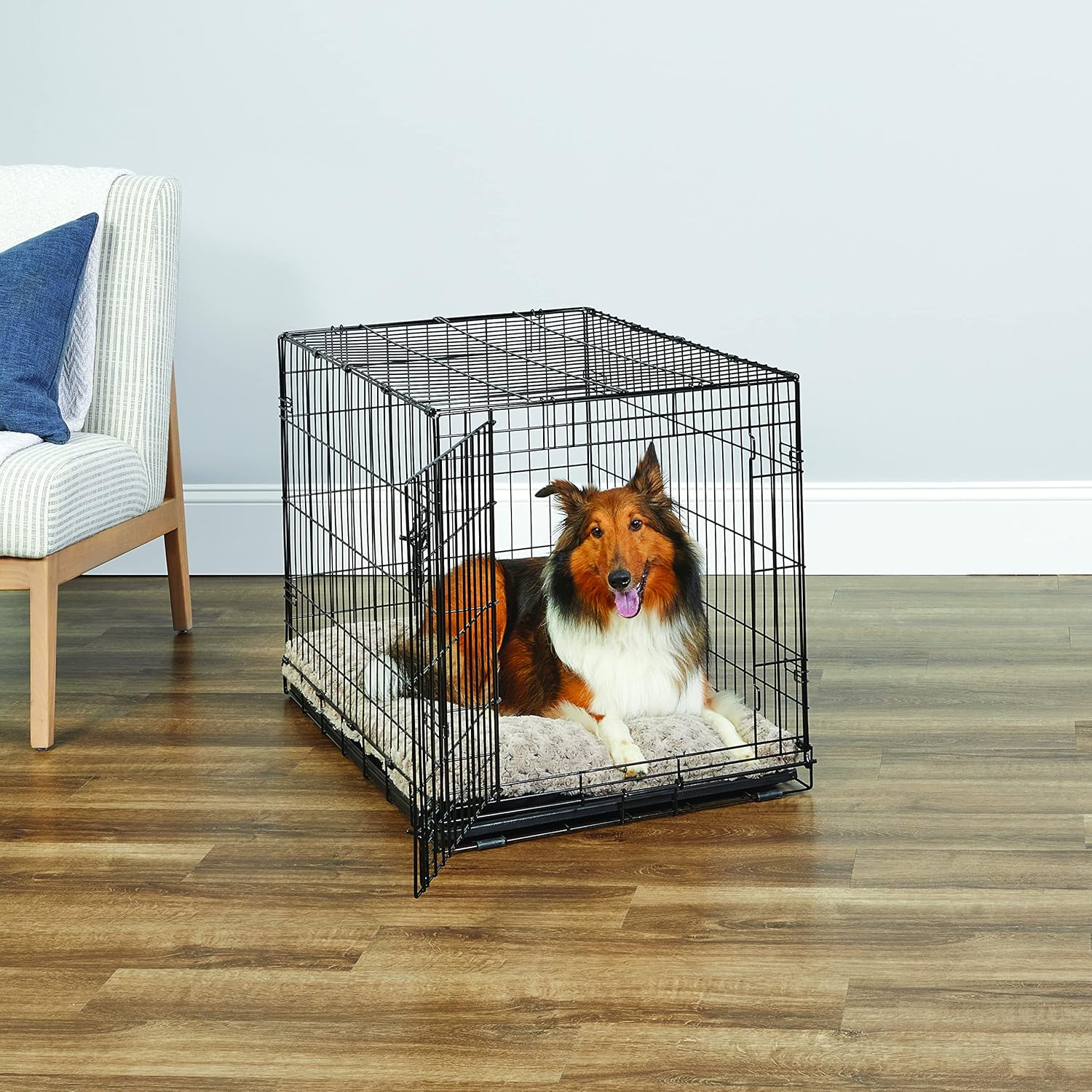 New World Single Door Folding Metal 36-Inch Dog Crate, Enhanced Security, Includes Leak-Proof Pan & Divider Panel, For Medium to Large Sized Breeds