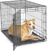 New World Single Door Folding Metal 36-Inch Dog Crate, Enhanced Security, Includes Leak-Proof Pan & Divider Panel, For Medium to Large Sized Breeds