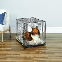 New World Single Door Folding Metal 36-Inch Dog Crate, Enhanced Security, Includes Leak-Proof Pan & Divider Panel, For Medium to Large Sized Breeds