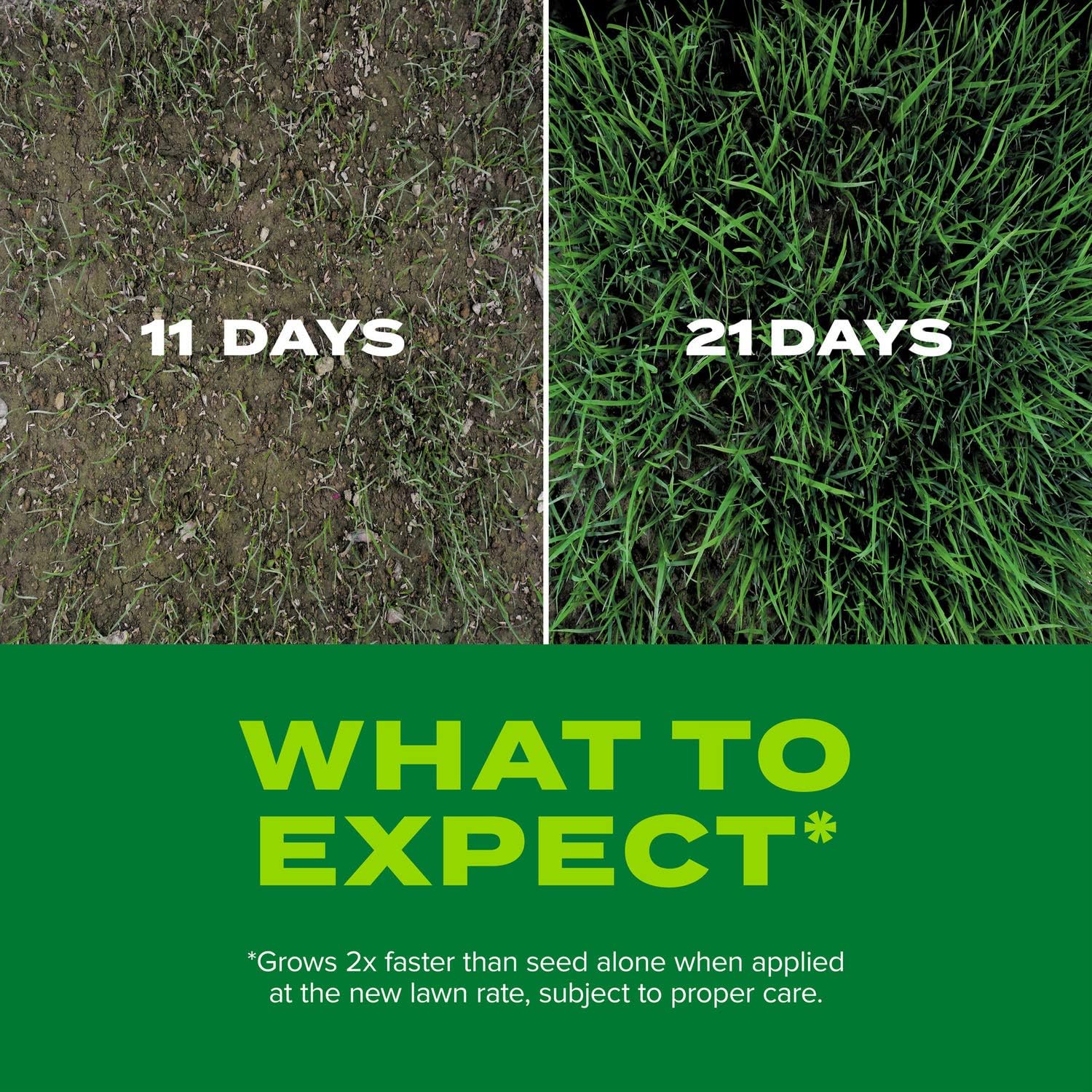 Scotts Turf Builder Rapid Grass Tall Fescue Mix, Combination Seed and Fertilizer, Grows Green Grass in Just Weeks, 5.6 lbs. 5.6 lb.