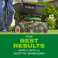 Scotts Turf Builder Rapid Grass Tall Fescue Mix, Combination Seed and Fertilizer, Grows Green Grass in Just Weeks, 5.6 lbs. 5.6 lb.