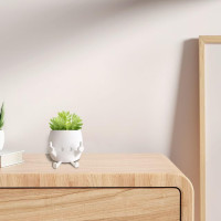 Smiling Plant Pot with Middle Fingers Up, Flower Pots for Succulents, Funny Resin Figure Planter Pot for Indoor Outdoor