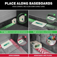 Catchmaster Max-Catch Mouse & Insect Glue Trap 72pk, Mouse Traps Indoor for Home, Sticky Pest Control Adhesive Tray for Catching Bugs, Non Toxic Bulk Pre-Baited Glue Boards Scented 72 Pack