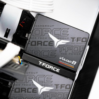TEAMGROUP T-Force Vulcan Z 512GB SLC Cache 3D NAND TLC 2.5 Inch SATA III Internal Solid State Drive SSD (R/W Speed up to 530/470 MB/s) T253TZ512G0C101 512gb Vulcan Z
