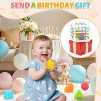 MINGKIDS Montessori Toys for 1 Year Old, 6 Pc Multi Sensory Shape, Toddler Developmental Learning Birthday Gifts, Baby Toys 12 Month Cube