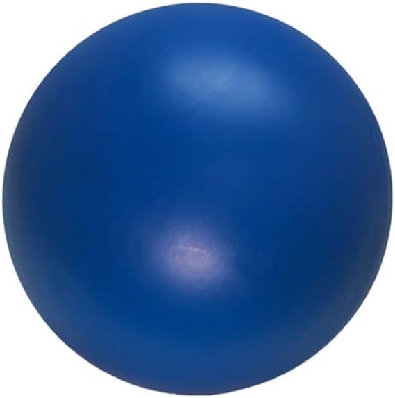 200 X 0.43 Cal Solid Nylon Balls for Home Defense, 43 Caliber Plastic Ammo Projectiles for Target Shooting, Self Defense and Plinking(Blue)