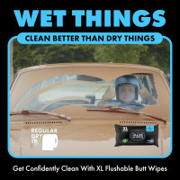 DUDE Wipes - Flushable Wipes with DUDE Bombs Toilet Spray - 18 Pack, 864 Wipes + 1 Spray Bottle - Unscented Extra-Large Adult Wet Wipes with Vitamin-E & Aloe - Forest Fresh Stank Eliminator Fragrance Free 48 Count (Pack of 18)