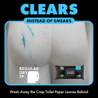 DUDE Wipes - Flushable Wipes with DUDE Bombs Toilet Spray - 18 Pack, 864 Wipes + 1 Spray Bottle - Unscented Extra-Large Adult Wet Wipes with Vitamin-E & Aloe - Forest Fresh Stank Eliminator Fragrance Free 48 Count (Pack of 18)