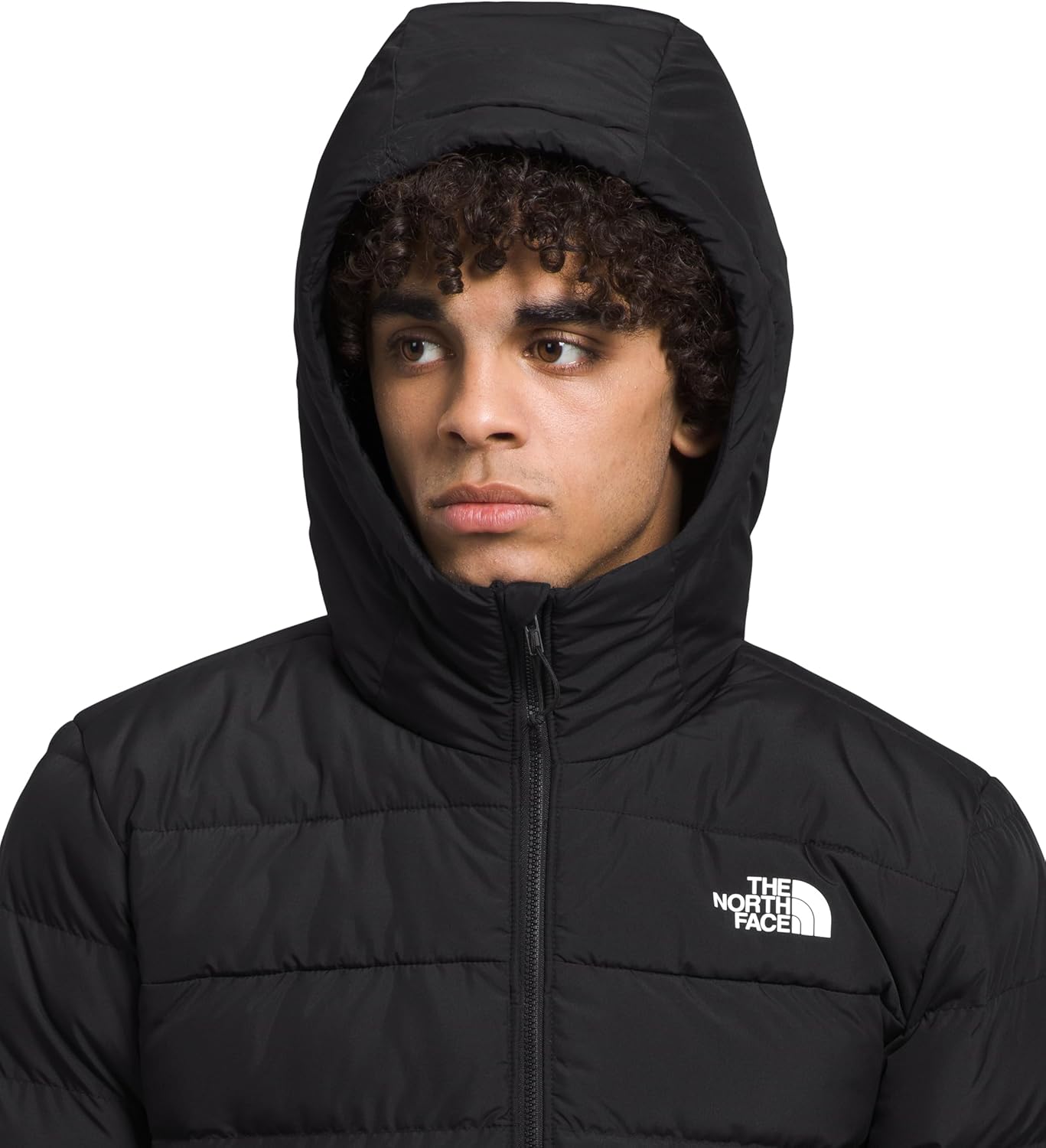 The North Face Men's Aconcagua 3 Hoodie Medium Tnf Black-npf