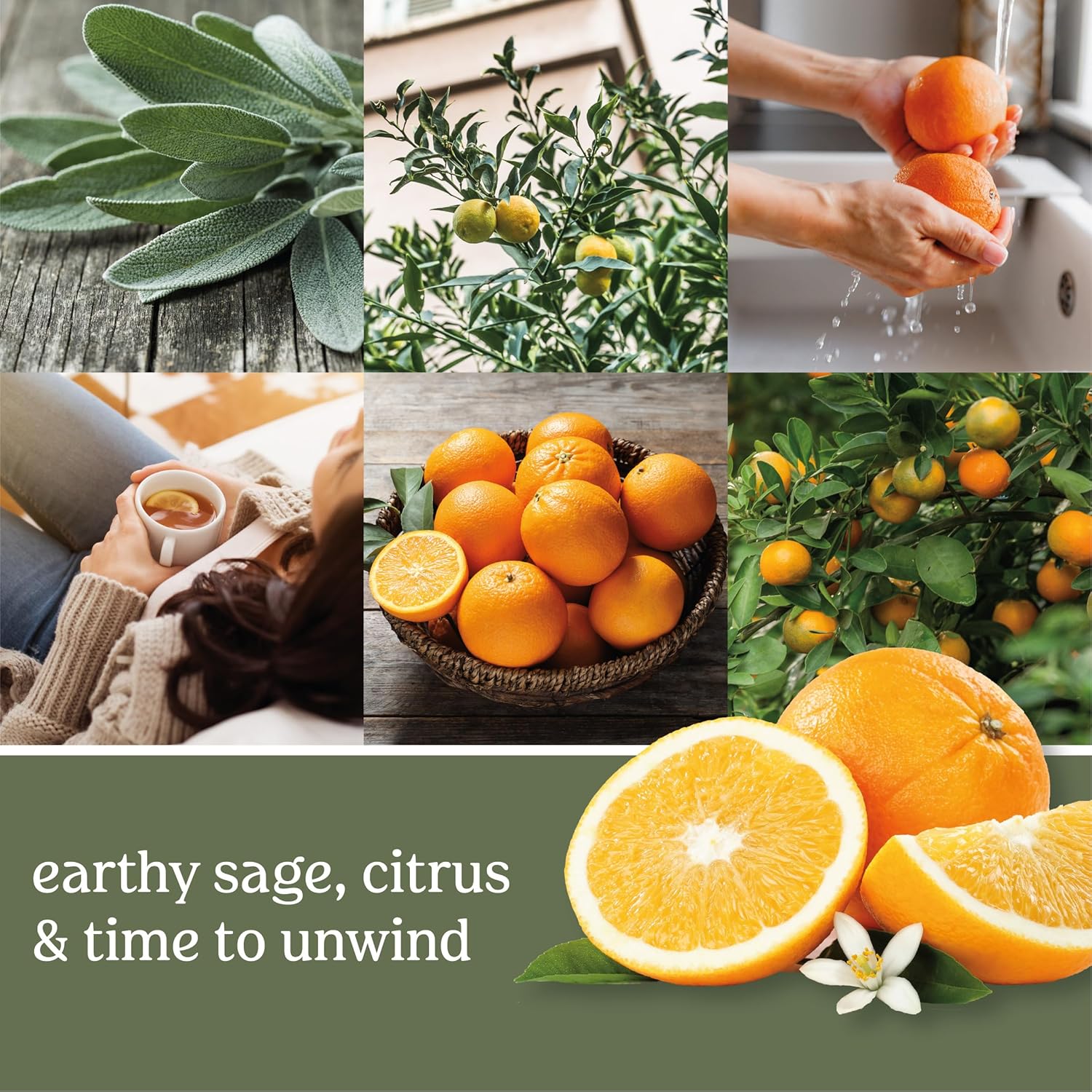 Yankee Candle Sage & Citrus Scented, Classic 22oz Large Jar Single Wick Candle, Over 110 Hours of Burn Time, Ideal for Home Decor and Gifts Sage & Citrus Classic Large Jar