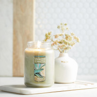 Yankee Candle Sage & Citrus Scented, Classic 22oz Large Jar Single Wick Candle, Over 110 Hours of Burn Time, Ideal for Home Decor and Gifts Sage & Citrus Classic Large Jar