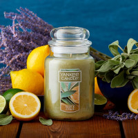 Yankee Candle Sage & Citrus Scented, Classic 22oz Large Jar Single Wick Candle, Over 110 Hours of Burn Time, Ideal for Home Decor and Gifts Sage & Citrus Classic Large Jar