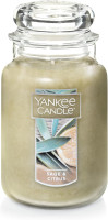 Yankee Candle Sage & Citrus Scented, Classic 22oz Large Jar Single Wick Candle, Over 110 Hours of Burn Time, Ideal for Home Decor and Gifts Sage & Citrus Classic Large Jar