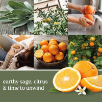 Yankee Candle Sage & Citrus Scented, Classic 22oz Large Jar Single Wick Candle, Over 110 Hours of Burn Time, Ideal for Home Decor and Gifts Sage & Citrus Classic Large Jar