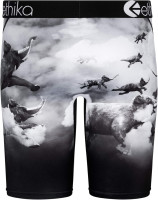 Ethika Mens Staple Boxer Brief | Elephants Fly