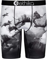 Ethika Mens Staple Boxer Brief | Elephants Fly