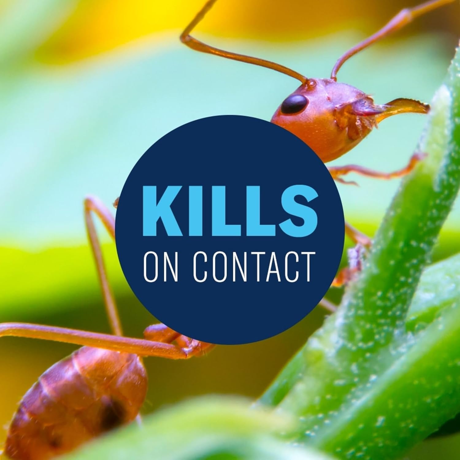 BioAdvanced Fire Ant Killer, Dust, 1 lb, 16 oz.