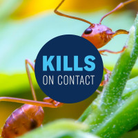 BioAdvanced Fire Ant Killer, Dust, 1 lb, 16 oz.