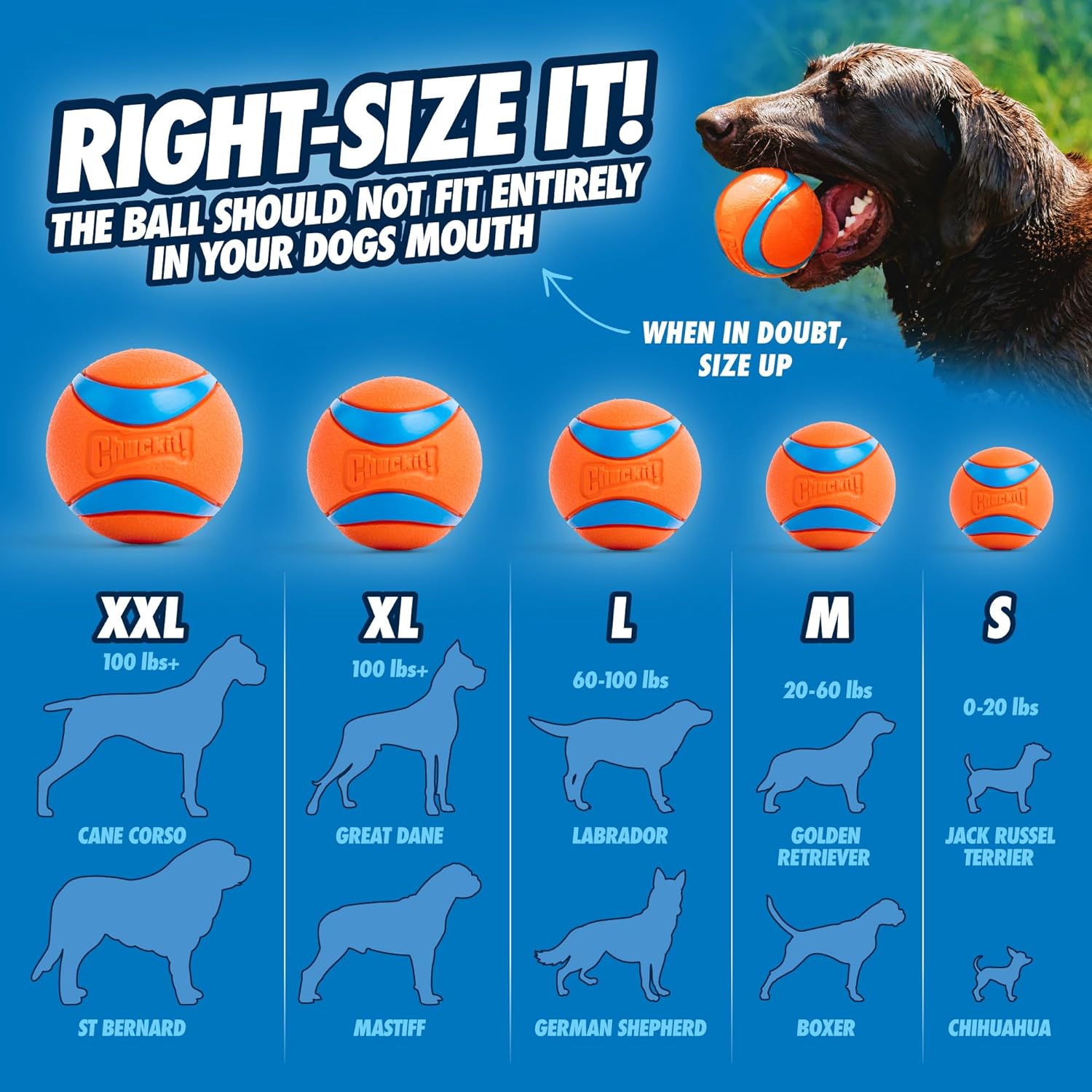 Chuckit! Ultra Ball Dog Toy, Medium (2.5 Inch Diameter) Pack of 1, for breeds 20-60 lbs Ultra Medium (1 Pack)