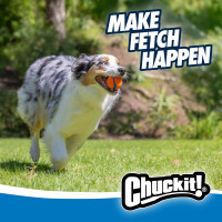 Chuckit! Ultra Ball Dog Toy, Medium (2.5 Inch Diameter) Pack of 1, for breeds 20-60 lbs