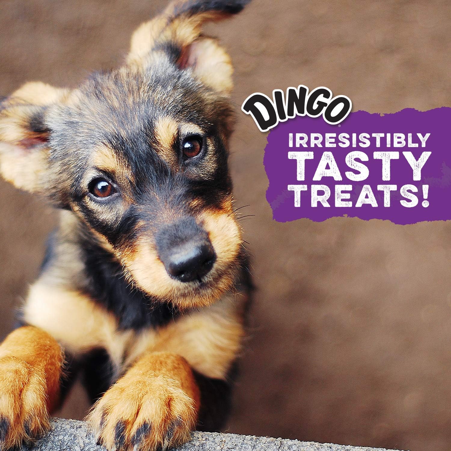 Dingo Twist Sticks 50 Count, Rawhide For Dogs, Made With Real Chicken, 50 Count (Pack of 1) twist sticks 8.9 Ounce (Pack of 1)