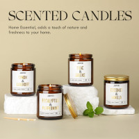 AOOVOO Coconut Vanilla Candles - 9 oz Scented Candles, Aromatherapy Candle, Soy Candle for Home Scented Coconut Vanilla 9 oz