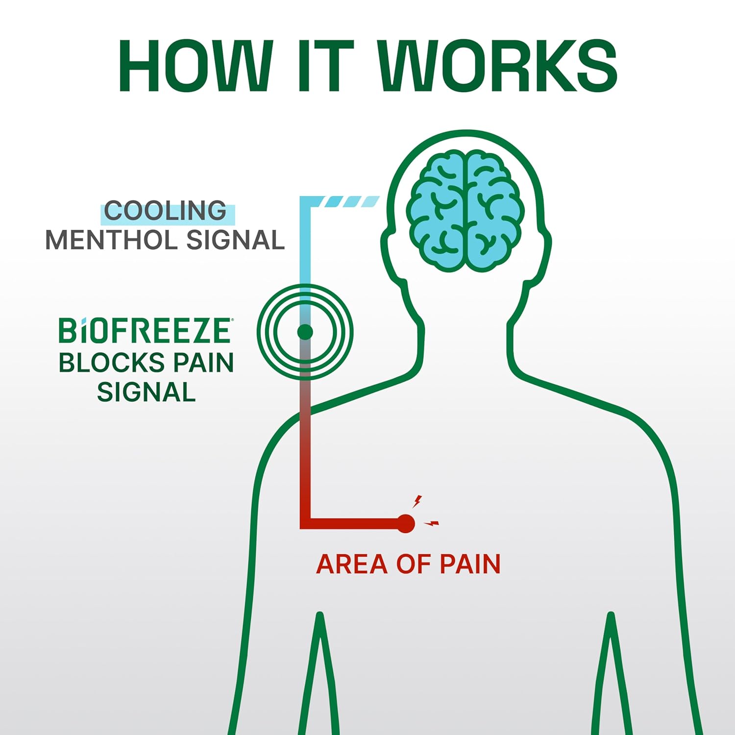Biofreeze Professional Gel Pain Relief for Knee, Neck, Hip, Joint, Shoulder, & Simple Backache, Arthritis Pain Reliever, Sore Muscle Relief, Green Menthol Gel 1 Gallon Pump