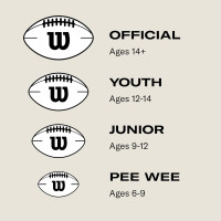 WILSON NFL Super Grip Composite Footballs