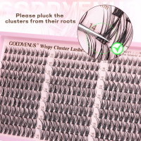 Lash Clusters Kit Wispy Eyelash Clusters Lashes Natural DIY Lash Extension Kit 10-16mm Cluster Eyelash Extensions Kit 300pcs C Curl Individual Lashes Cluster Eyelash (No Tweezers) G-CC Curl no tweezers