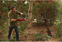CRAFTSMAN Electric Chainsaw, 16 Inch, 12 Amp Corded (CMECS600)
